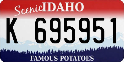 ID license plate K695951