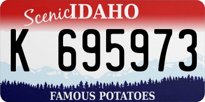 ID license plate K695973