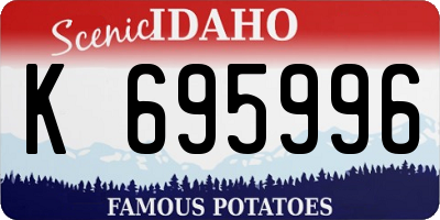 ID license plate K695996