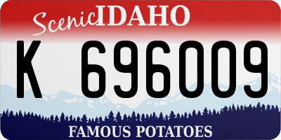 ID license plate K696009