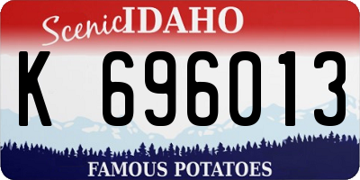 ID license plate K696013