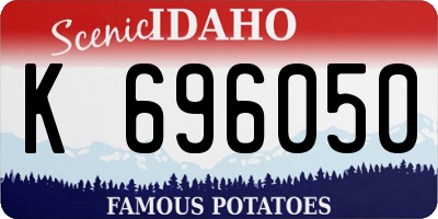 ID license plate K696050