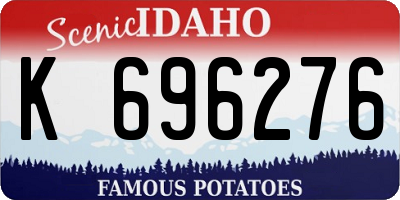 ID license plate K696276