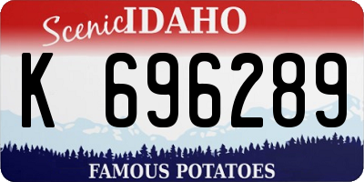 ID license plate K696289