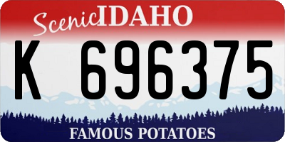 ID license plate K696375