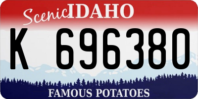 ID license plate K696380