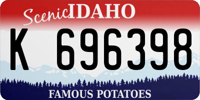 ID license plate K696398