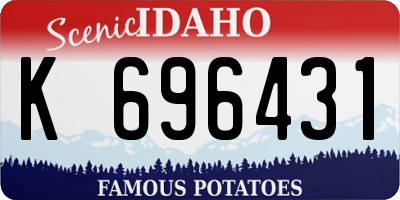 ID license plate K696431