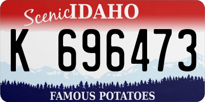 ID license plate K696473