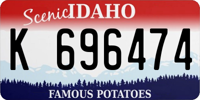 ID license plate K696474