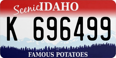 ID license plate K696499