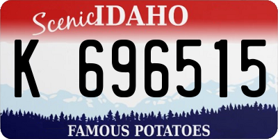 ID license plate K696515