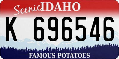 ID license plate K696546
