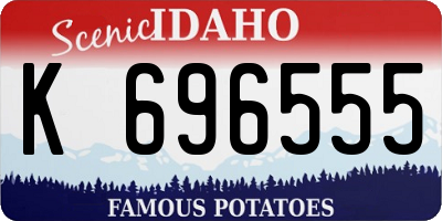 ID license plate K696555
