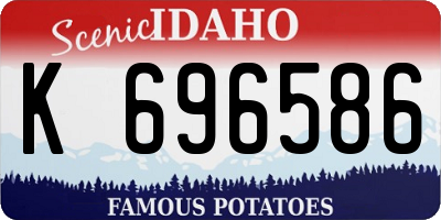 ID license plate K696586