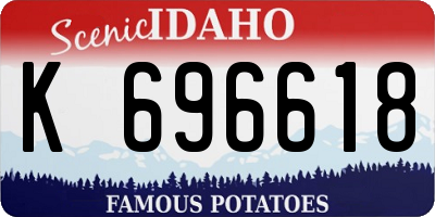 ID license plate K696618
