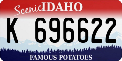 ID license plate K696622