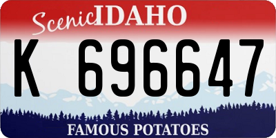 ID license plate K696647