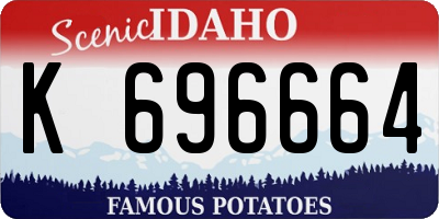 ID license plate K696664