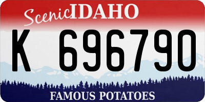 ID license plate K696790
