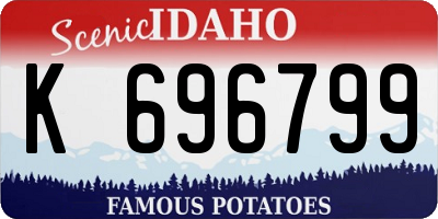 ID license plate K696799