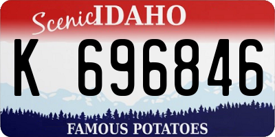 ID license plate K696846