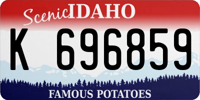 ID license plate K696859