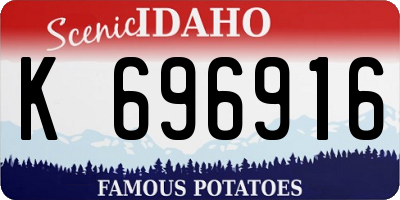 ID license plate K696916