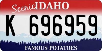 ID license plate K696959