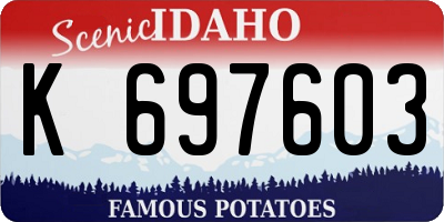 ID license plate K697603