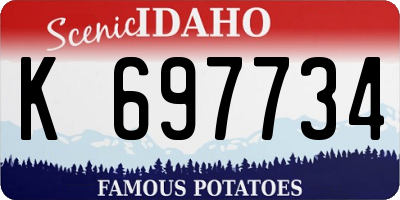 ID license plate K697734