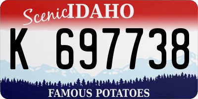 ID license plate K697738