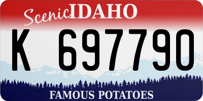 ID license plate K697790