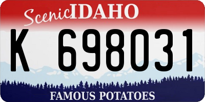 ID license plate K698031