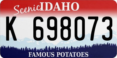 ID license plate K698073
