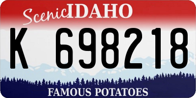 ID license plate K698218
