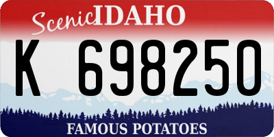 ID license plate K698250