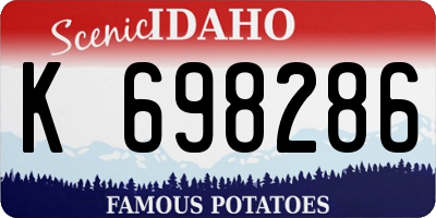 ID license plate K698286