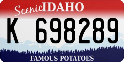 ID license plate K698289