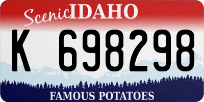 ID license plate K698298
