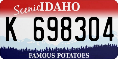 ID license plate K698304
