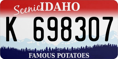 ID license plate K698307