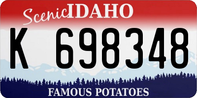 ID license plate K698348