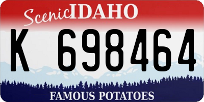 ID license plate K698464