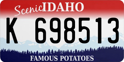 ID license plate K698513