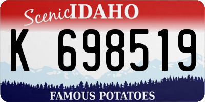 ID license plate K698519