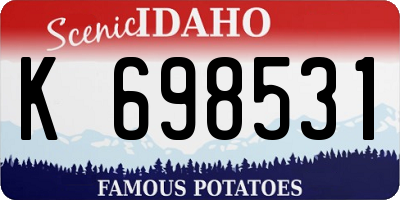ID license plate K698531