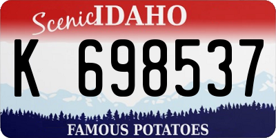 ID license plate K698537
