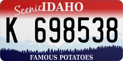 ID license plate K698538