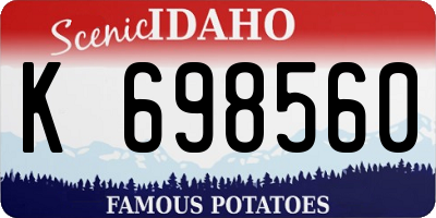 ID license plate K698560